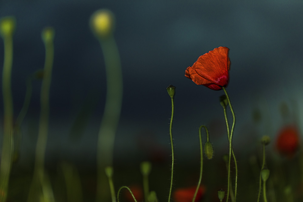 Platz 7 Conny Kleiner